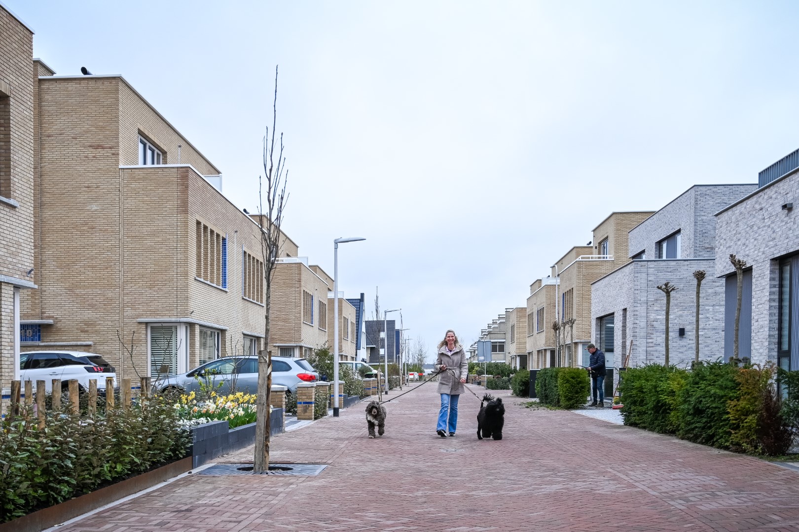 Vrouw wandelt met twee honden in woonwijk